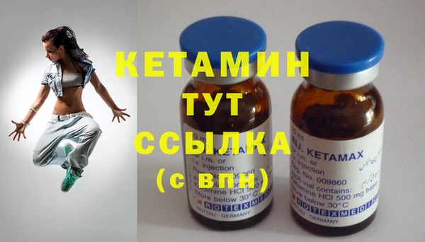 прущие грибы Вяземский