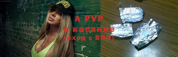 прущие грибы Вяземский
