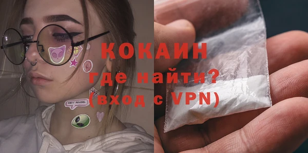прущие грибы Вяземский