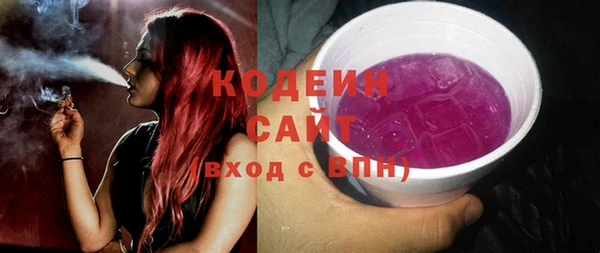 прущие грибы Вяземский