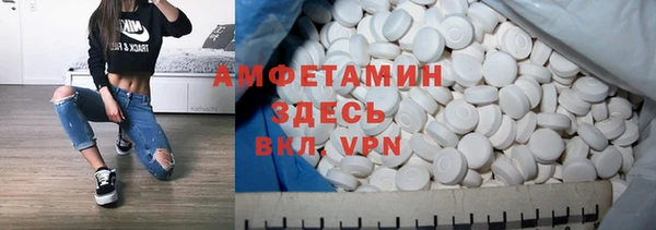 прущие грибы Вяземский