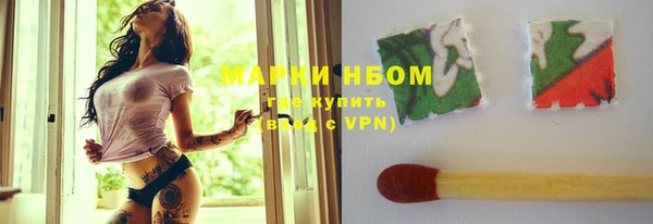 прущие грибы Вяземский
