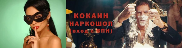 прущие грибы Вяземский