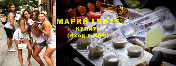 прущие грибы Вяземский