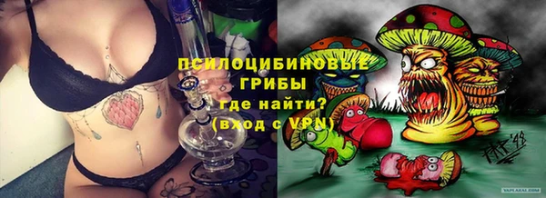 круглые Вязьма