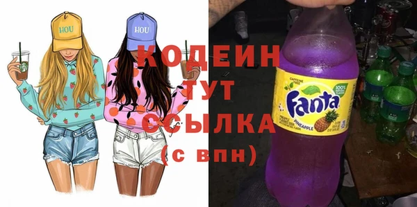 прущие грибы Вяземский